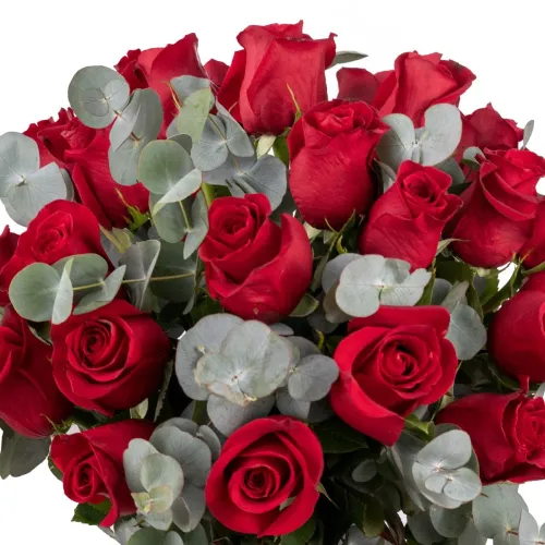 Foto Trandafiri rosii si eucalipt